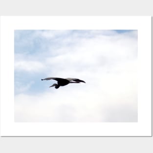 Great Blue Heron Flying Past the Clouds Above Trojan Pond 4 Posters and Art